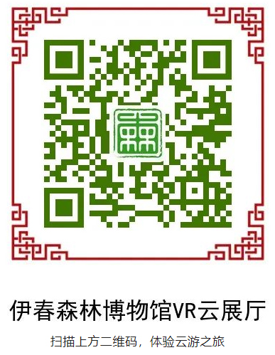 伊春森林博物館VR云展廳二維碼